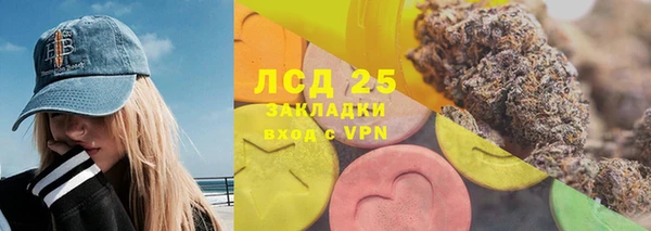 эйфоретик Алзамай